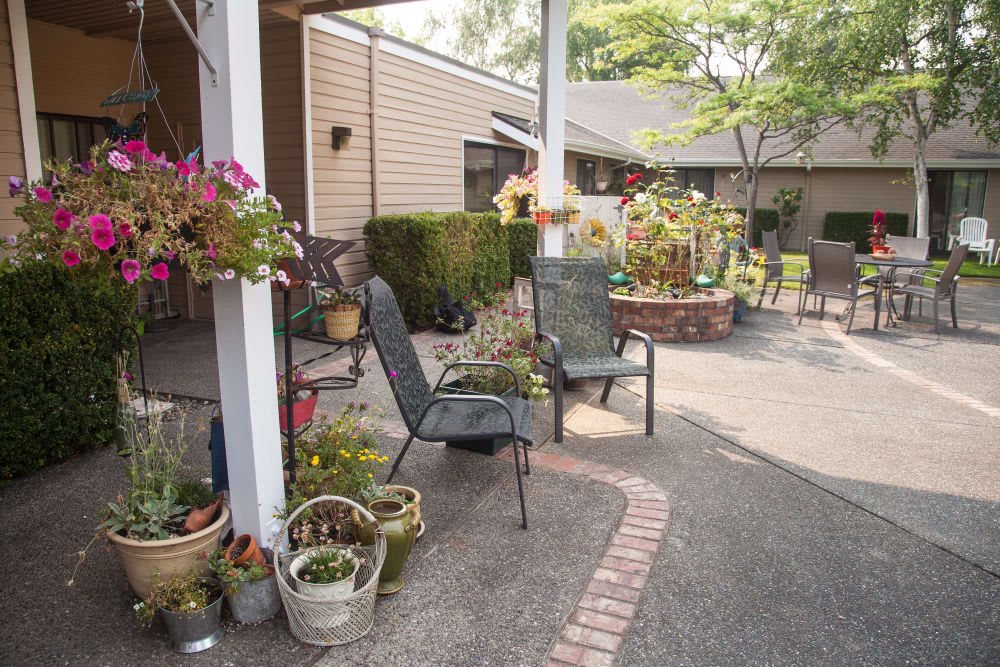 A cozy patio area with chairs and various potted plants, perfect for relaxing in the garden.