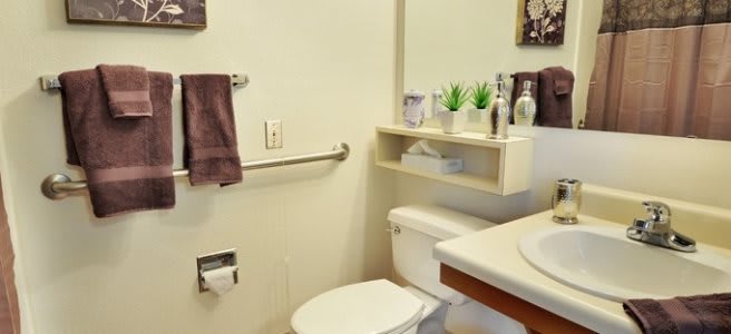 A clean and organized bathroom with a toilet, sink, mirror, and decorative plants on a shelf.
