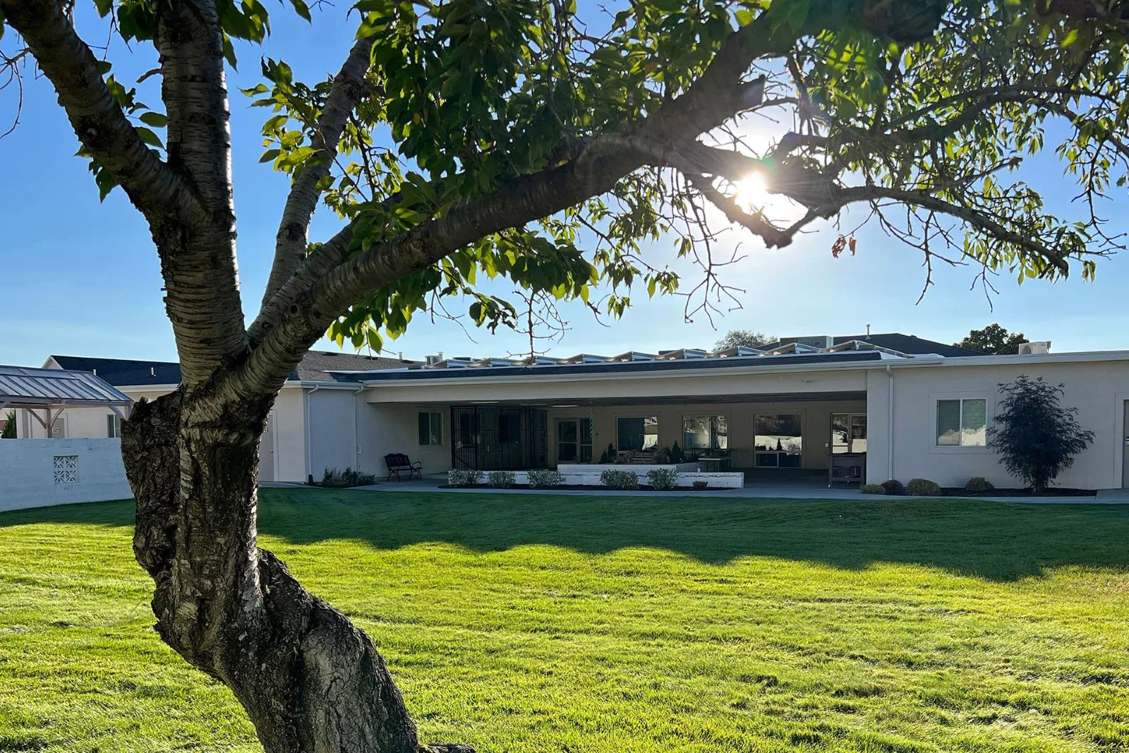 A modern house with a large lawn and a tree in the foreground, illuminated by sunlight.