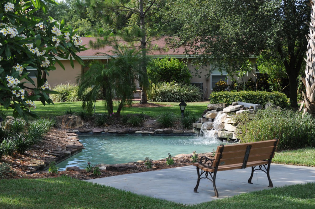 A serene garden scene with a pond and bench, surrounded by lush greenery.