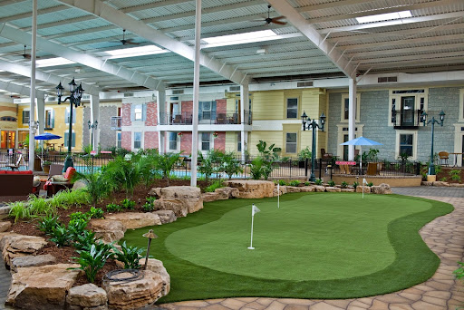 A modern indoor golf putting green surrounded by lush plants and natural light.