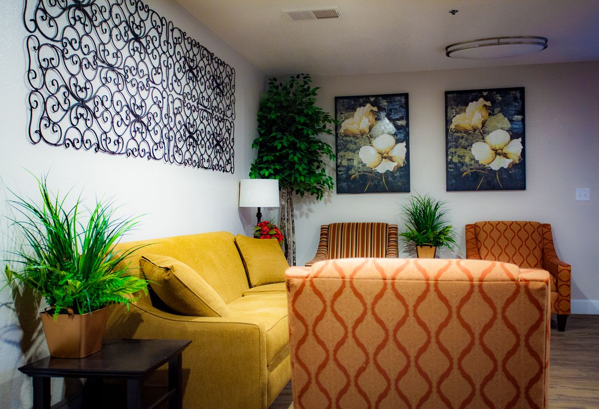 A cozy living room decorated with art and indoor plants.
