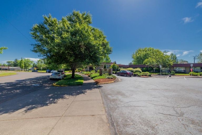 A sunny day in a landscaped parking area with trees and greenery.