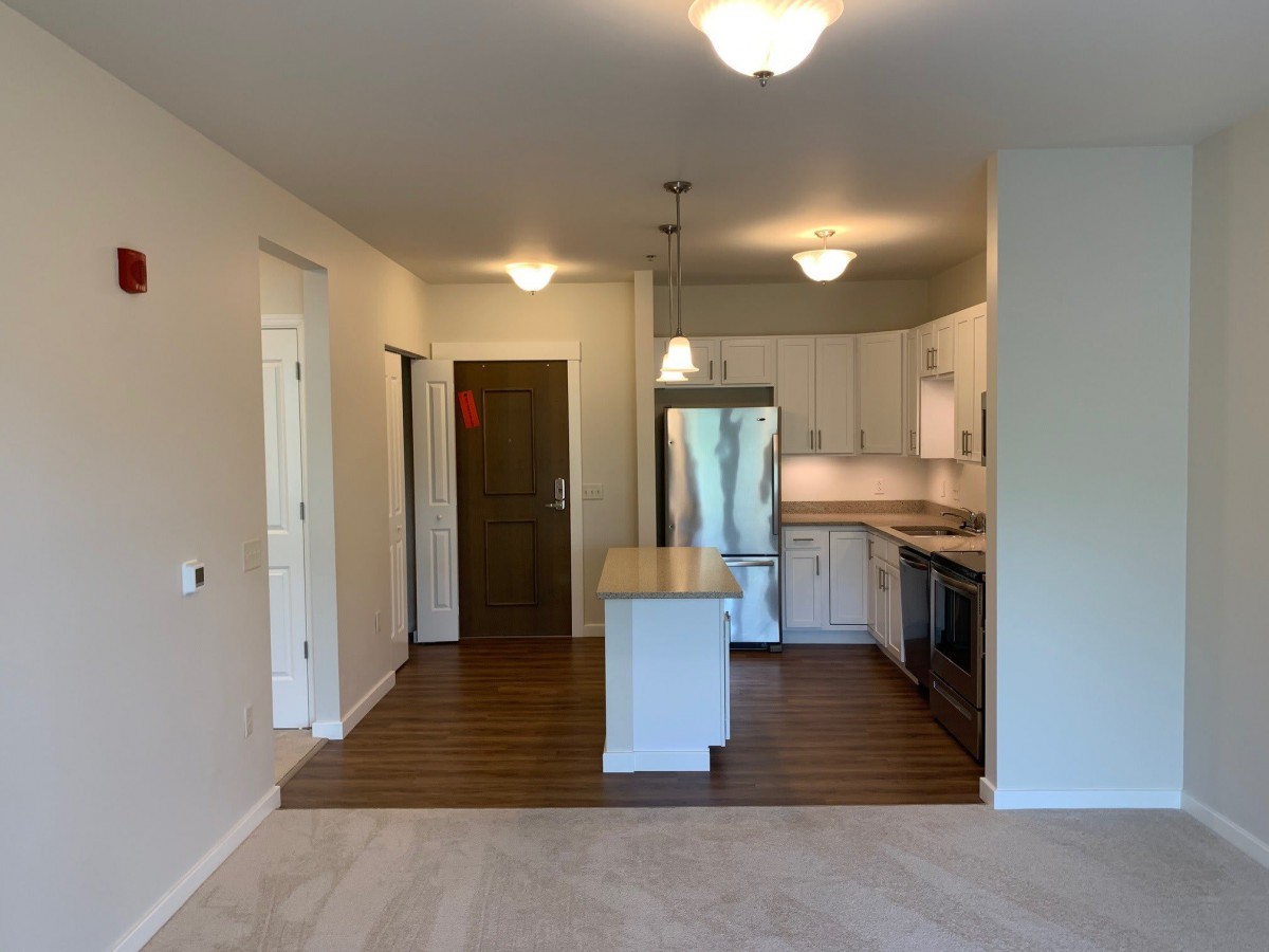 A modern apartment kitchen with wood flooring and an island counter.