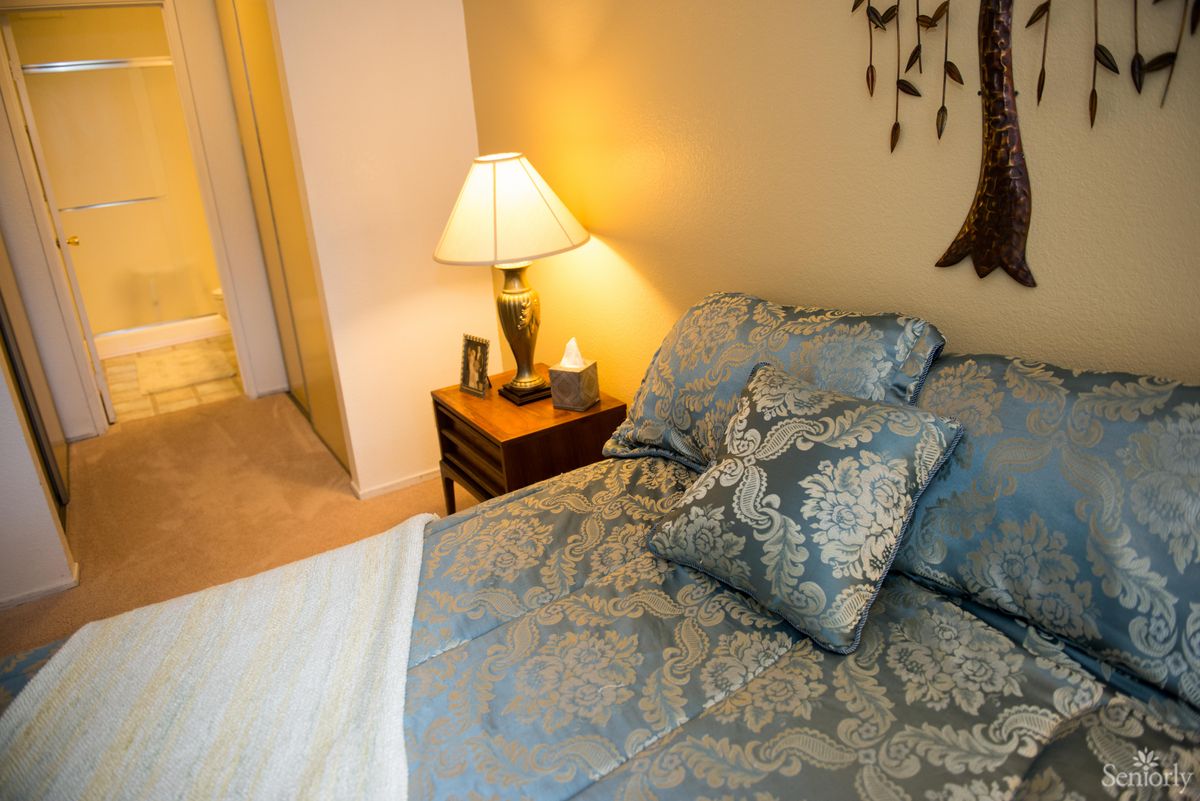 A cozy bedroom featuring patterned bedding and a bedside lamp.