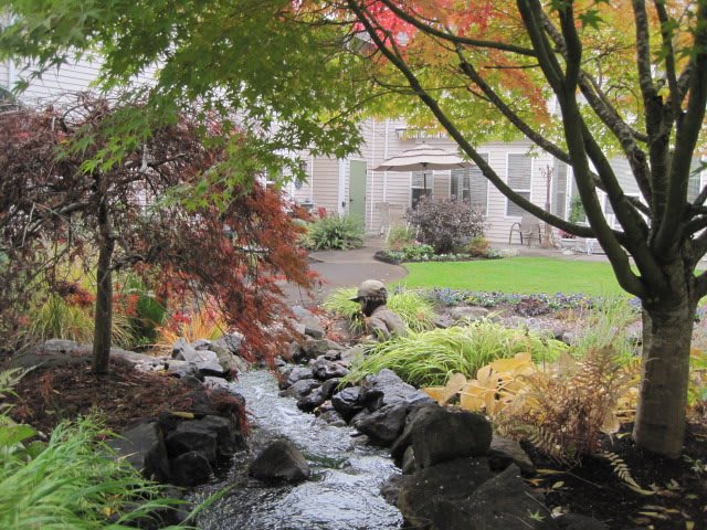 A serene garden landscape with a flowing stream and colorful autumn foliage.