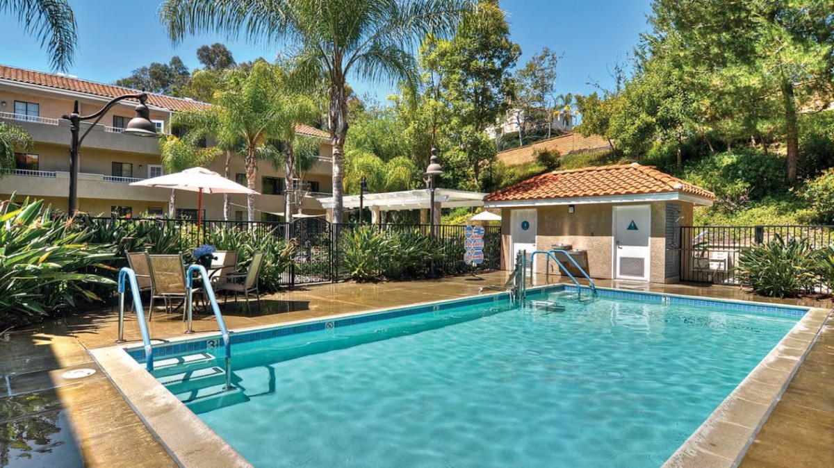 A serene swimming pool surrounded by lush palm trees and landscaping on a sunny day.