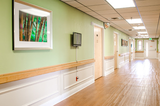 A serene hospital corridor featuring green walls and natural artwork.