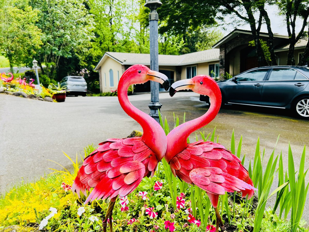 Jhoanna's Adult Care Home,  LLC