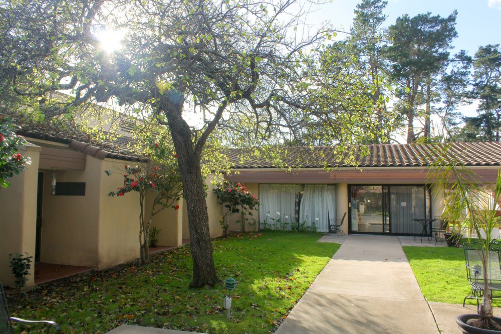 A sunny view of a house surrounded by trees with a small garden in the yard.