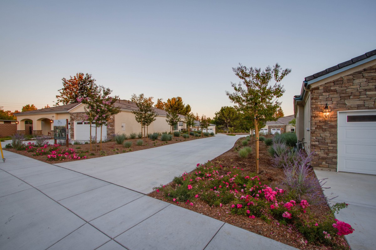 A serene suburban street lined with well-maintained gardens and newly constructed houses during the evening.