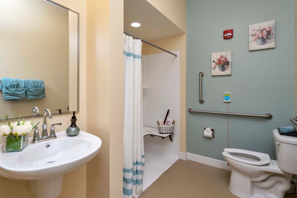A modern, accessible bathroom with a shower, sink, toilet, and handrails for support.
