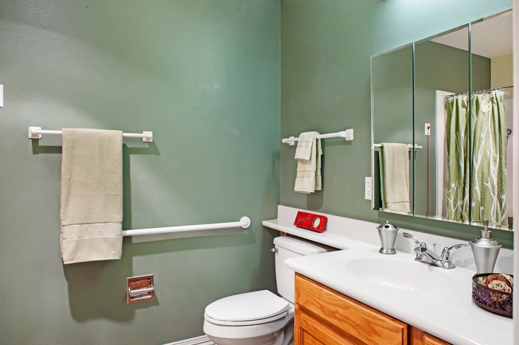 A clean bathroom with green walls, featuring a toilet, sink, mirror, and handrails.