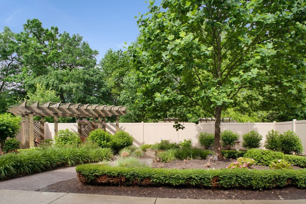 A serene garden scene featuring lush greenery, a large tree, and a pathway under clear blue skies.