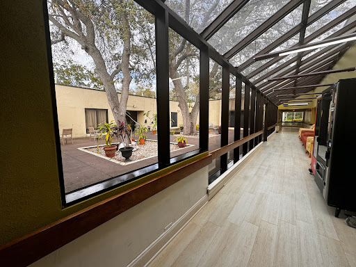 A bright and spacious corridor featuring large glass panels that allow natural light to fill the space, adorned with plants and a seating area.