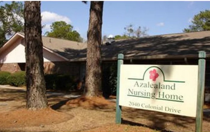 Azalealand Nursing Home