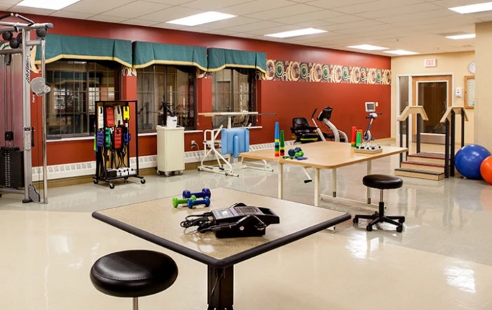 Manorcare At Lely Palms