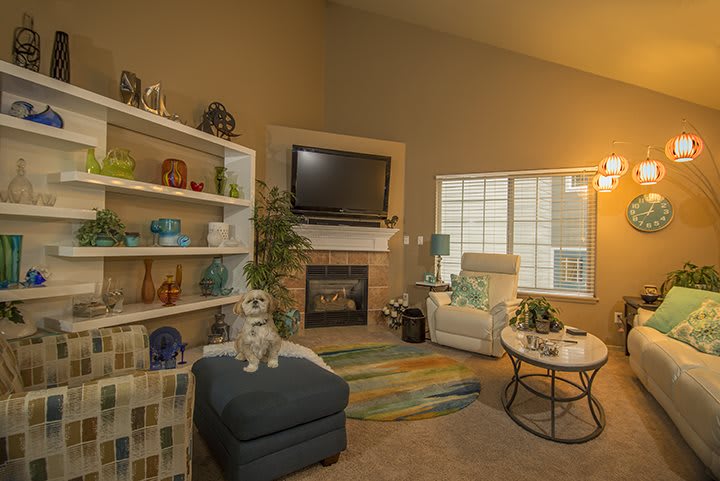 Cozy living room with a fireplace and modern decor.