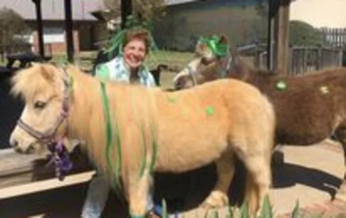 A person interacting with a painted pony outdoors.