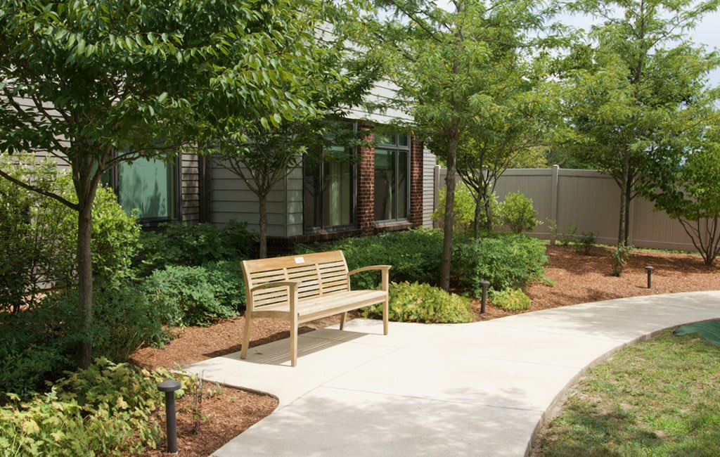 A peaceful garden setting with a wooden bench and a paved pathway surrounded by greenery.
