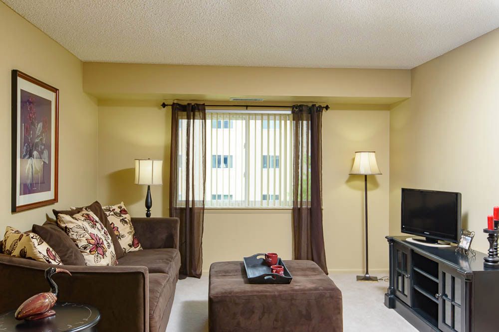 A cozy living room with a sofa, lamps, and a TV.
