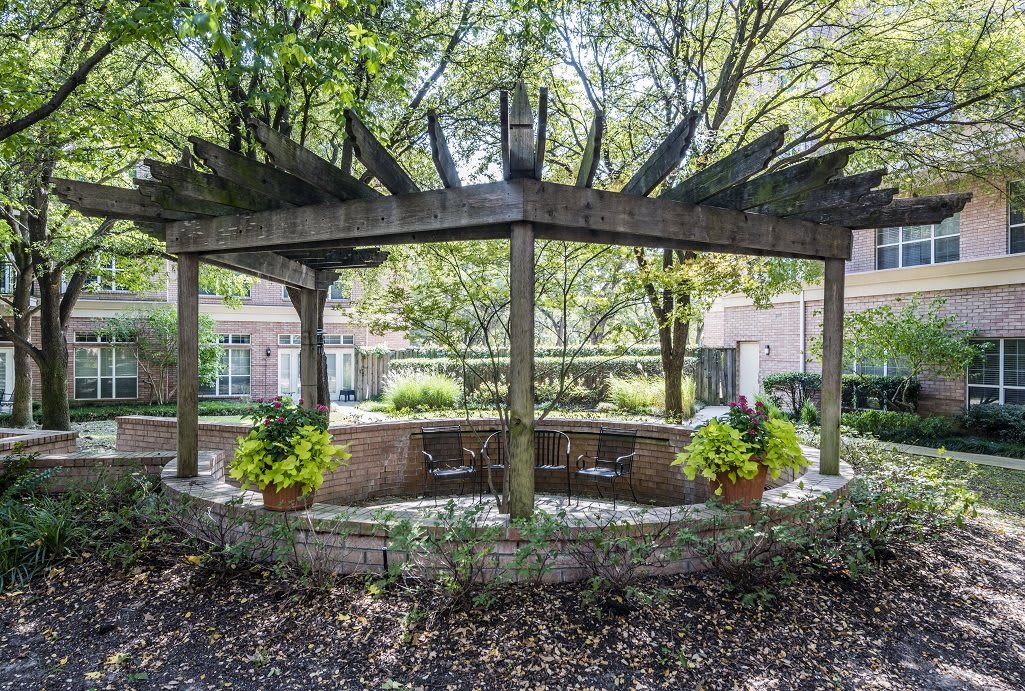 A tranquil garden scene with a wooden pergola and surrounding greenery.