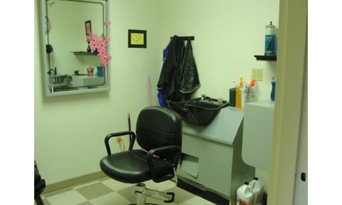 A cozy hair salon interior with a styling chair and sink.