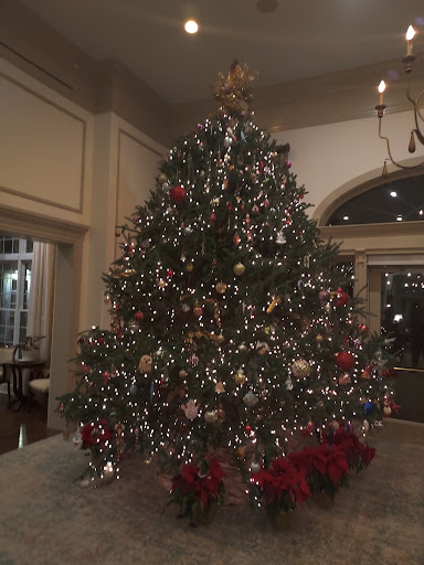 A beautifully decorated Christmas tree illuminated with twinkling lights and colorful ornaments, creating a festive atmosphere.