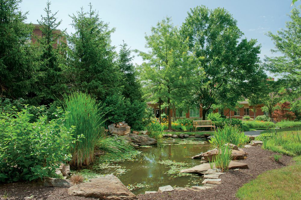 A serene garden scene featuring a pond surrounded by lush greenery and trees.