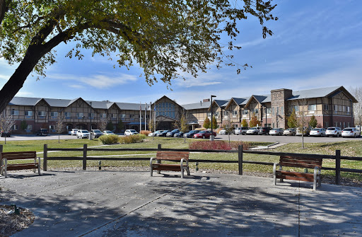 A serene park scene featuring benches in the foreground and a modern building in the background under a clear blue sky.