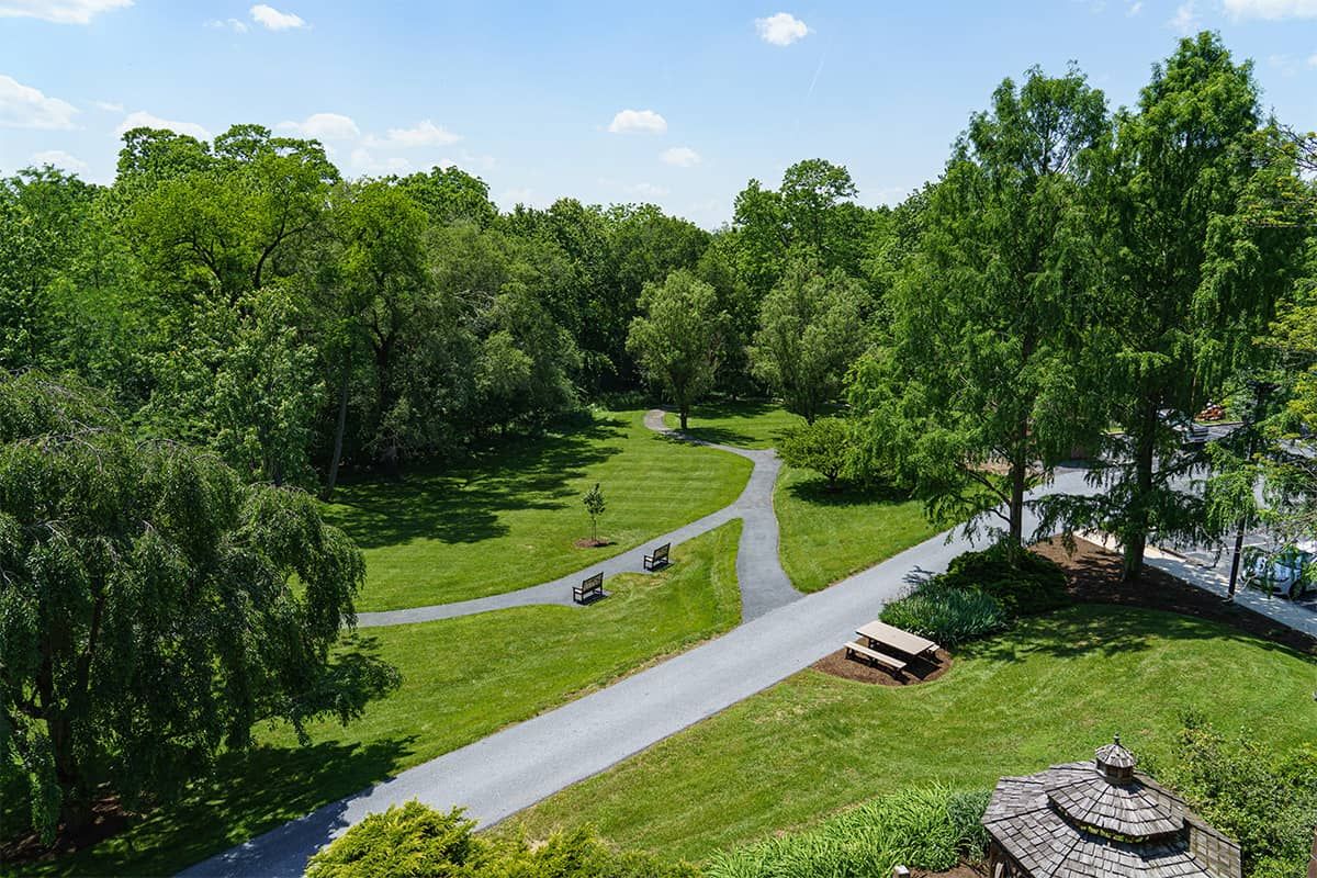 A scenic view of a park with winding pathways, surrounded by lush greenery and trees.