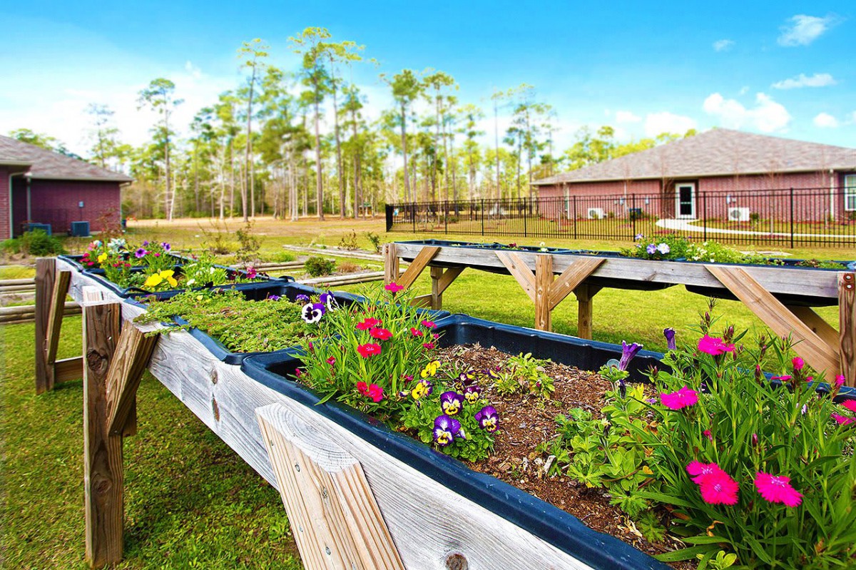 A vibrant backyard garden with raised beds full of colorful flowers under a clear blue sky.