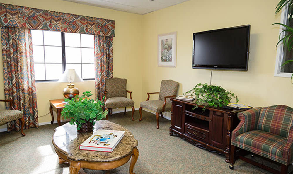 A cozy living room with comfortable seating, a flat-screen TV, and decorative plants.