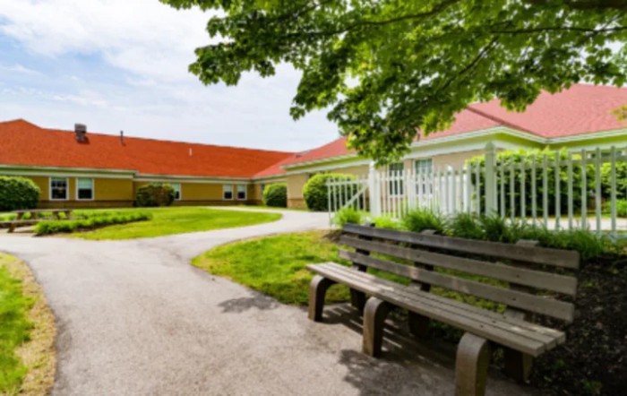 A peaceful outdoor scene with a bench under a tree near a pathway and building.