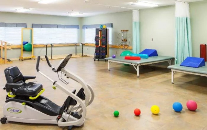 A room equipped for physical therapy with exercise equipment and colorful therapy balls.