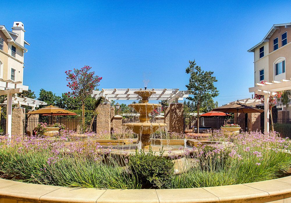 A beautiful garden with a central fountain under a clear blue sky.