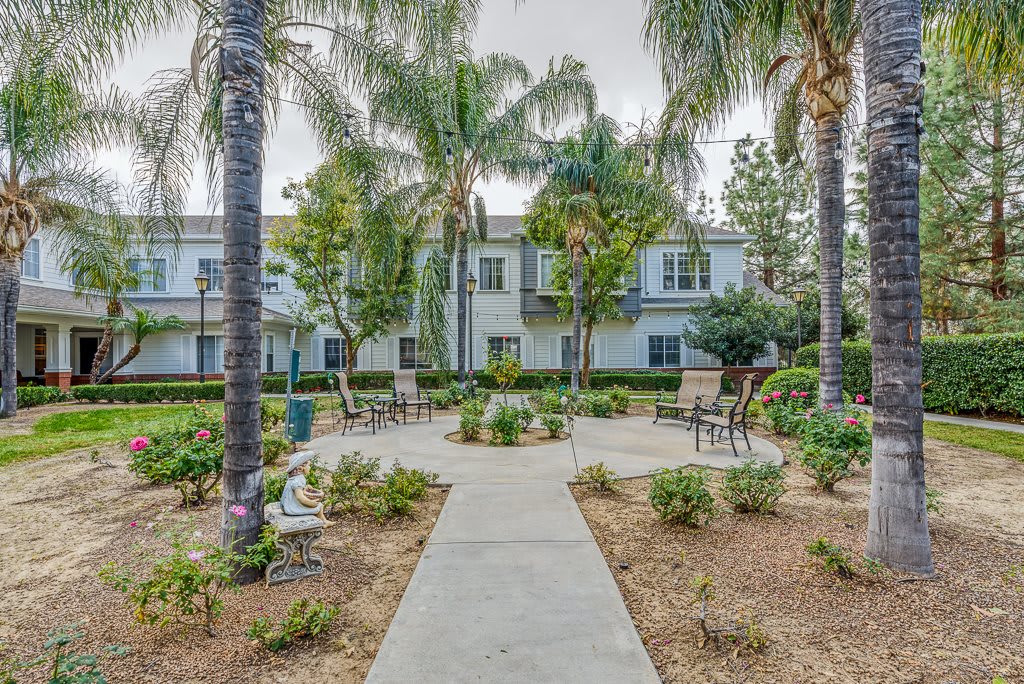 A peaceful courtyard with a walkway and outdoor seating surrounded by palm trees.
