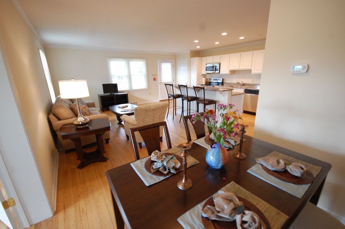 A modern open concept living space featuring a cozy living room, dining area, and kitchen with hardwood floors and elegant decor.