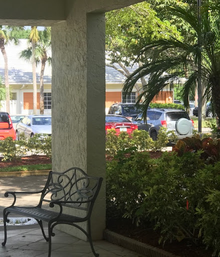 A view from a porch overlooking a parking area filled with cars, framed by greenery.