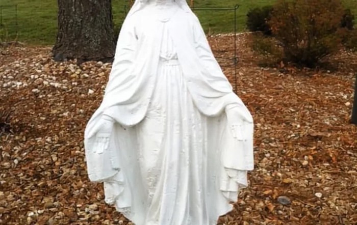 A white statue of the Virgin Mary surrounded by fallen leaves.