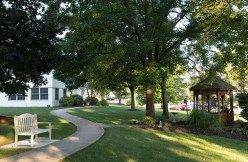 A serene outdoor setting with a winding pathway surrounded by lush greenery and trees.