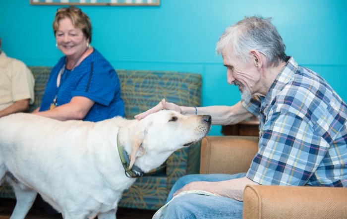 An elderly man pets a therapy dog while a caregiver looks on, fostering companionship and joy in a care setting.