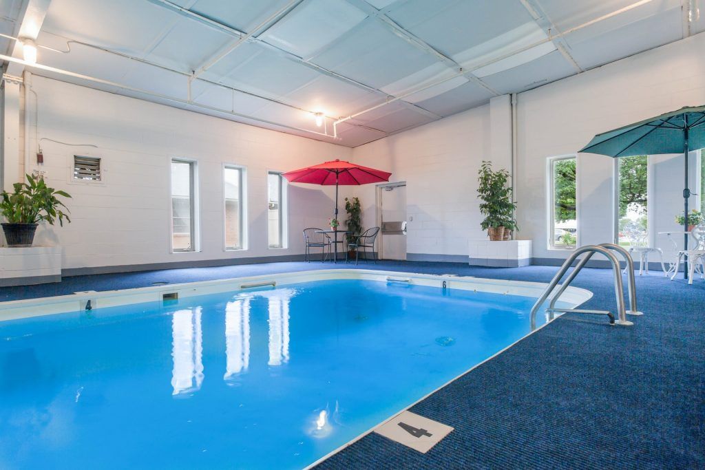 A serene indoor swimming pool with vibrant blue water, complemented by plants and seating, under a softly lit ceiling.