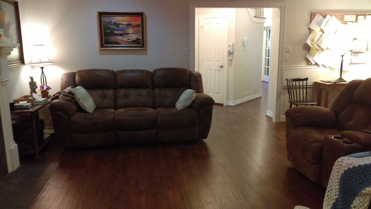 A cozy living room with a brown sofa and a framed painting on the wall.