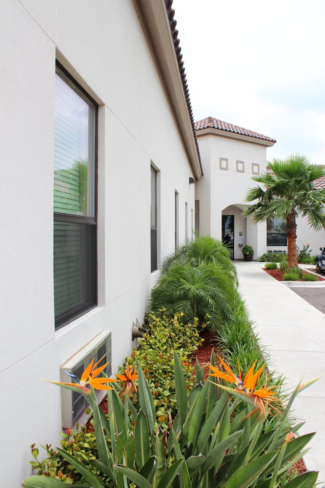 Modern house exterior with well-maintained landscaping and palm trees.