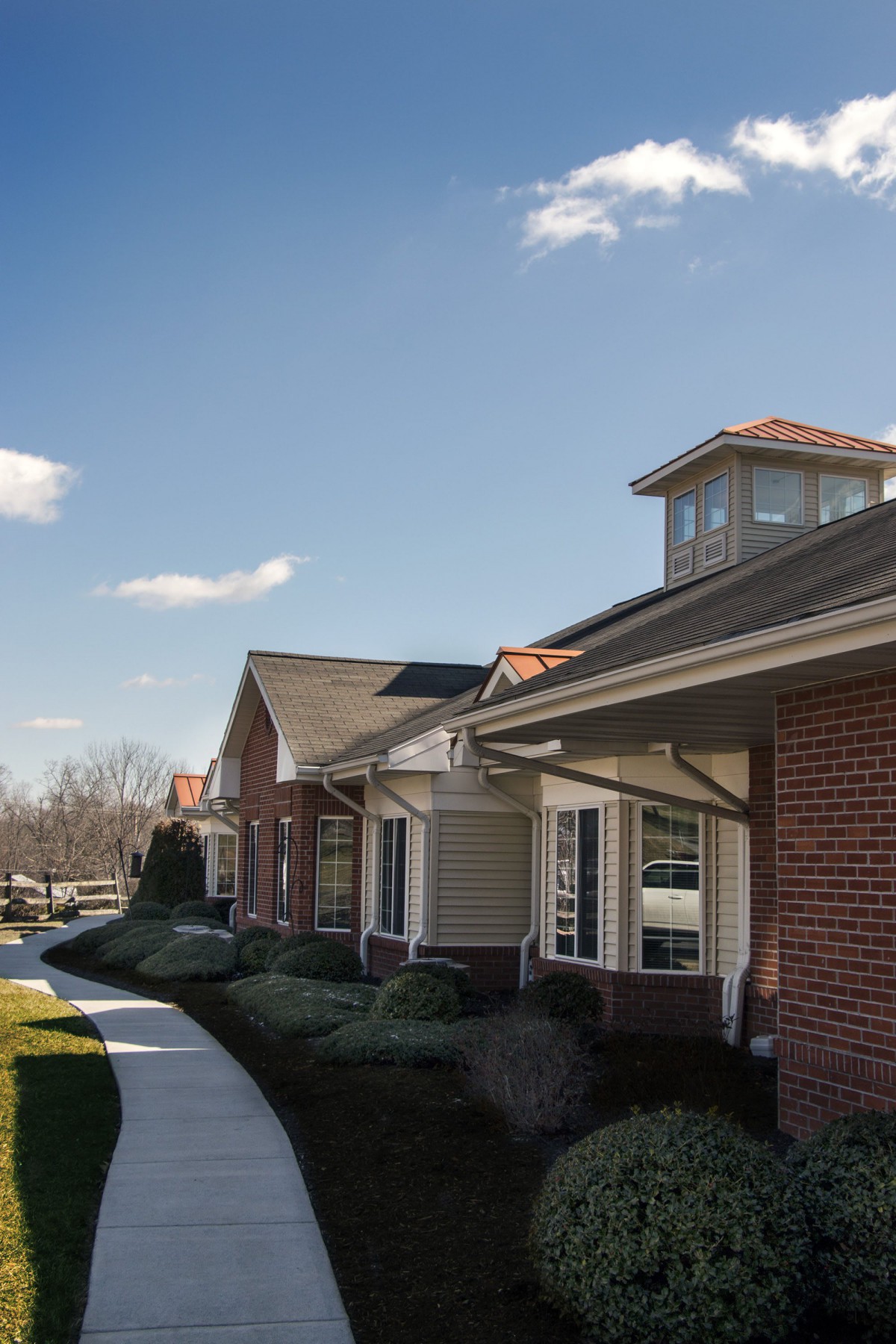 A row of suburban houses with a clear sky and pathway.