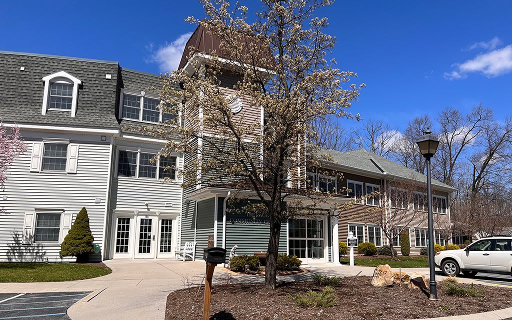 A modern building with a tree in bloom under a clear blue sky.