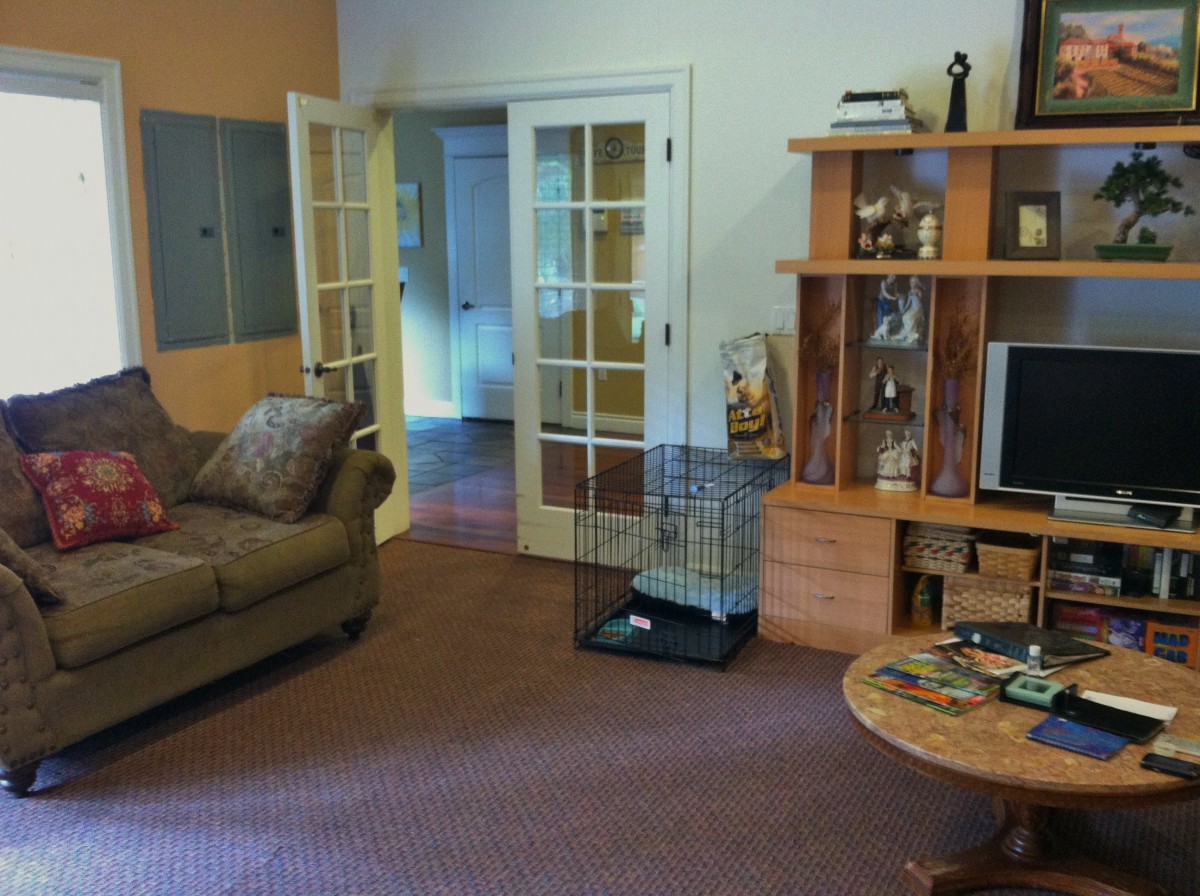A cozy living room with a sofa, bookshelf, and television.
