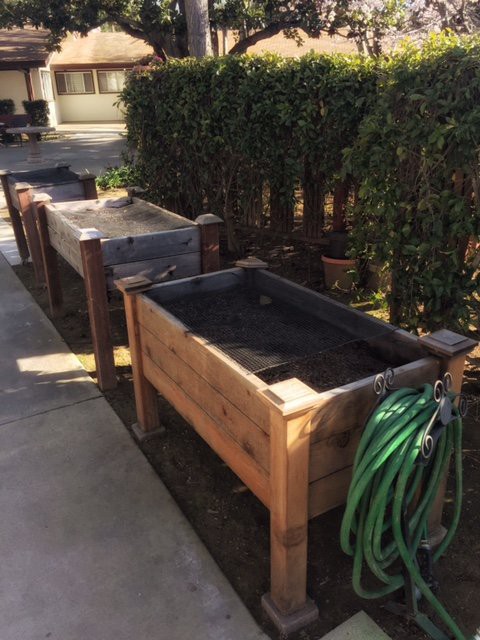 Wooden raised planter boxes lined up in a garden with a hose nearby.
