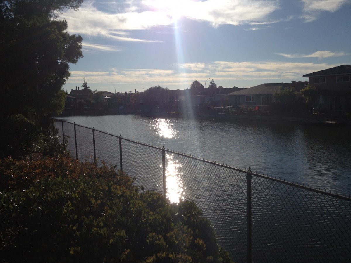 A serene river view with sunlight reflecting on the water.